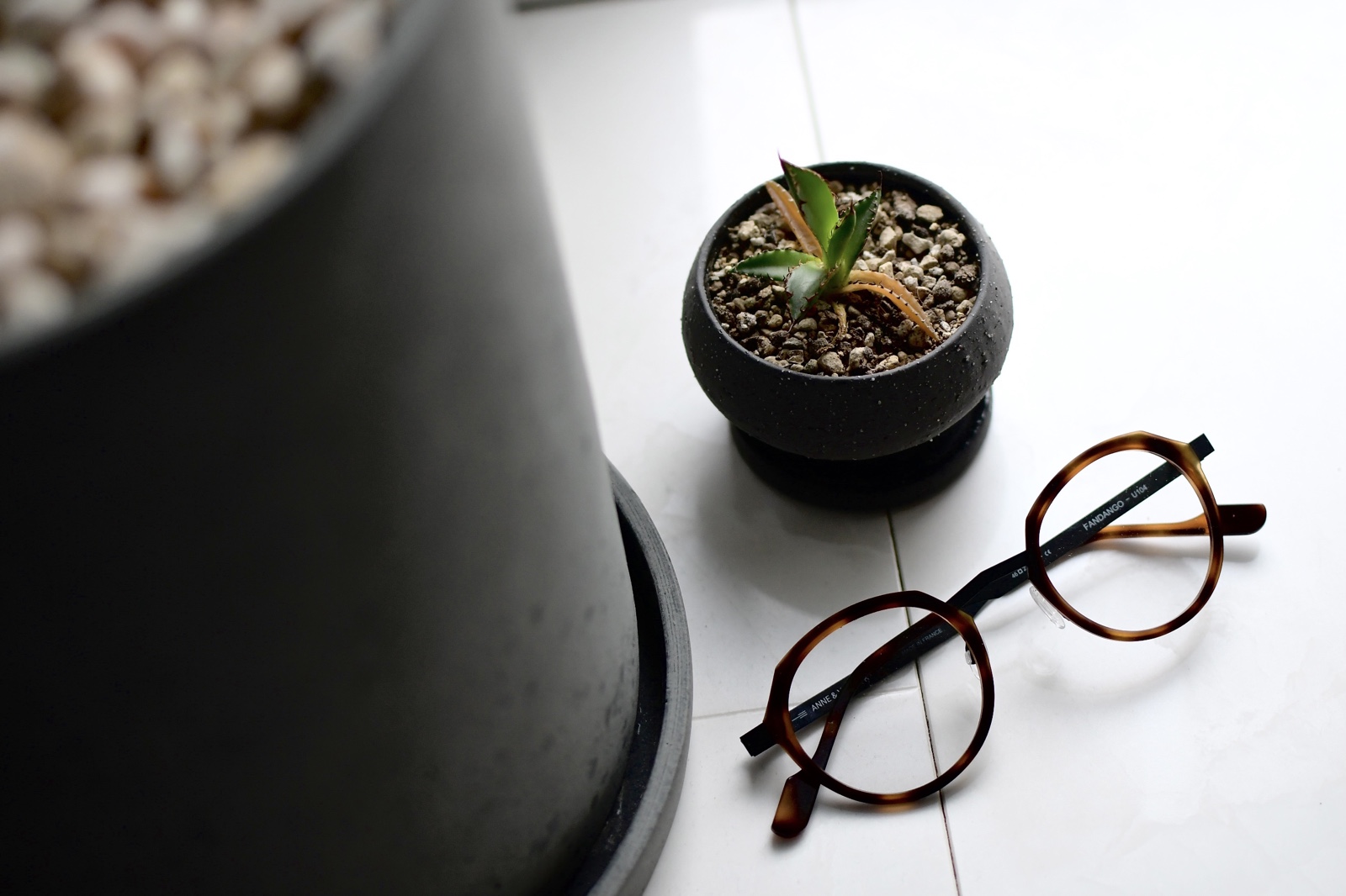 Anne et Valentin FANDANGO | | 福岡県北九州市 